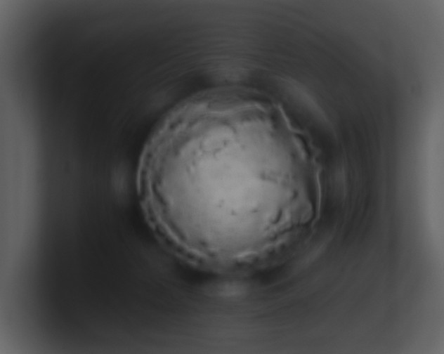 X0000101390228200807071204