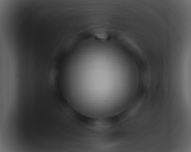 X0000101390229200807071204