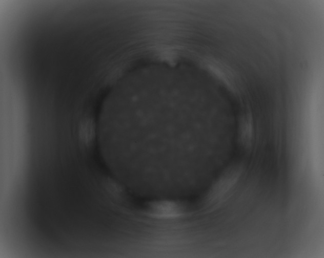 X0000101390230200807071204