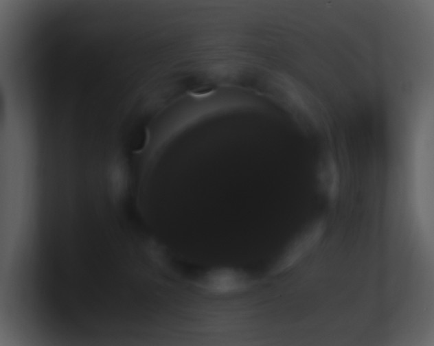 X0000101390231200807071204