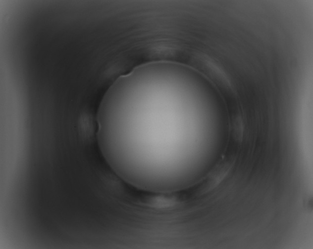 X0000101390232200807071204