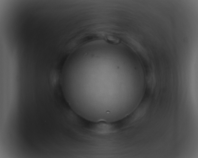 X0000101390233200807071204