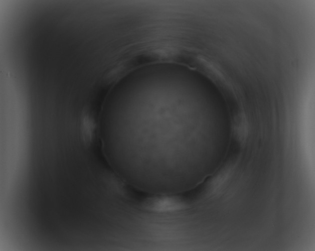 X0000101390235200807071204