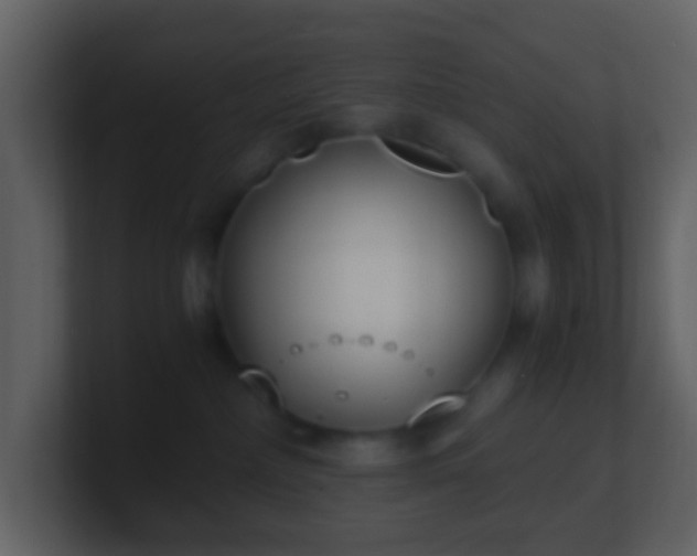 X0000101390236200807071204