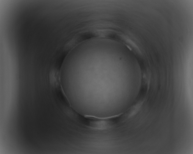 X0000101390237200807071204