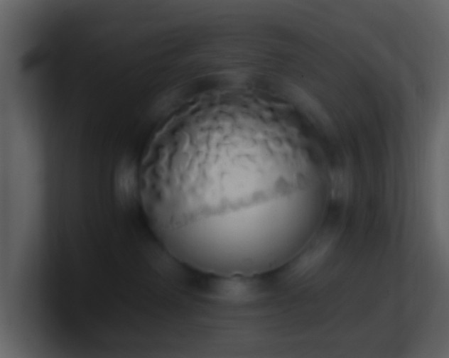 X0000101390238200807071204