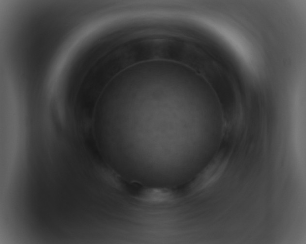 X0000101390239200807071204