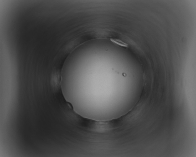 X0000101390240200807071204