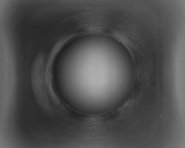 X0000101390241200807071203