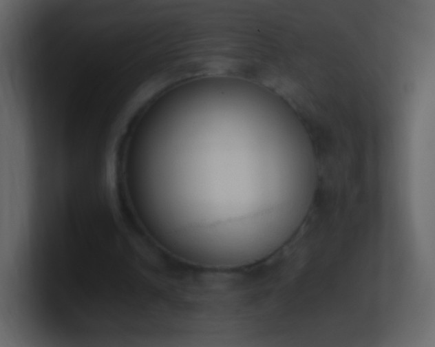 X0000101390242200807071203