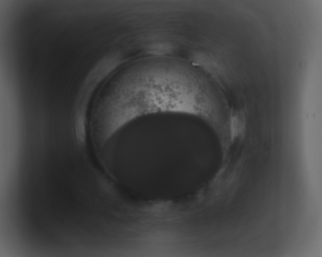 X0000101390243200807071203