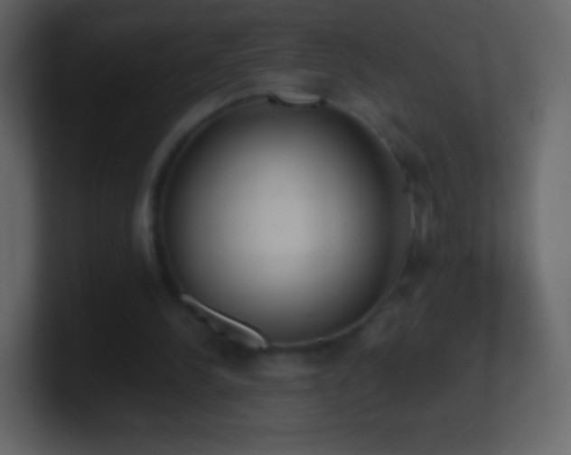 X0000101390244200807071203