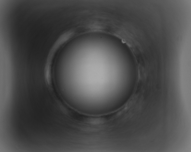 X0000101390245200807071203