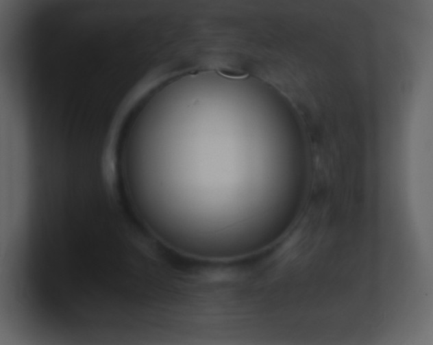 X0000101390246200807071203