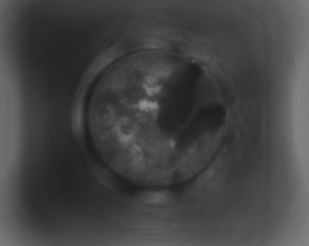 X0000101390247200807071203