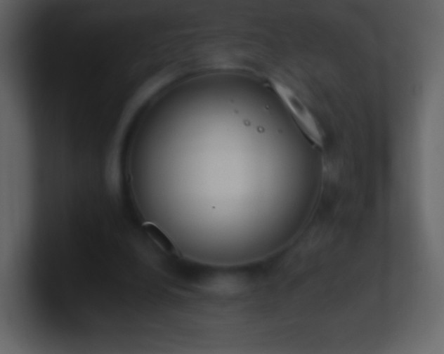 X0000101390248200807071203