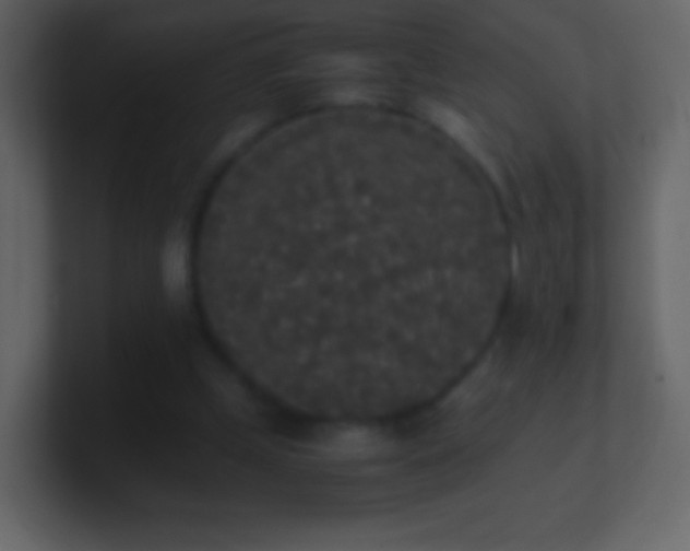 X0000101390249200807071203