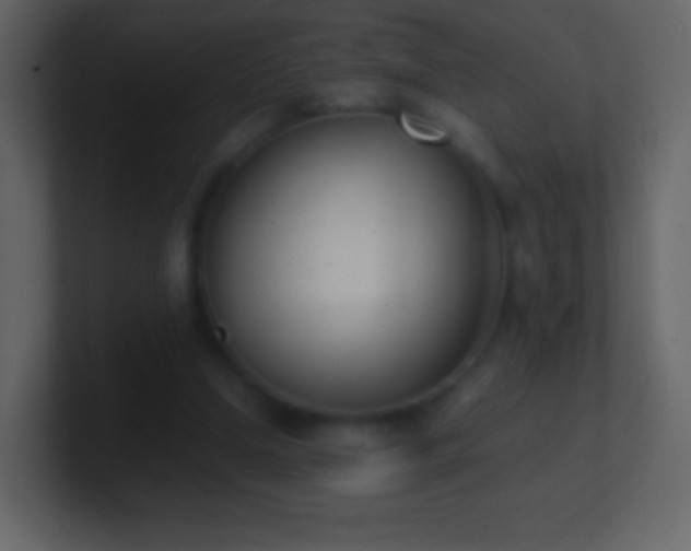 X0000101390250200807071203