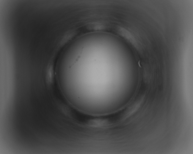 X0000101390251200807071203