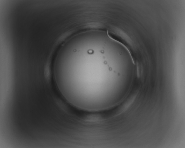 X0000101390252200807071203