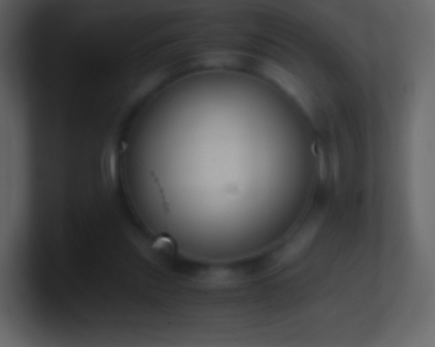 X0000101390253200807071203