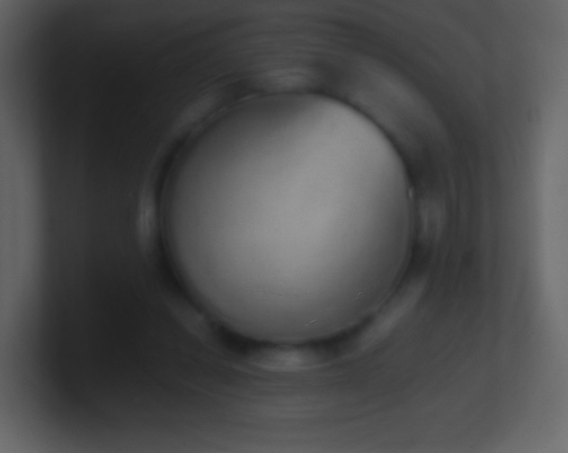 X0000101390254200807071203