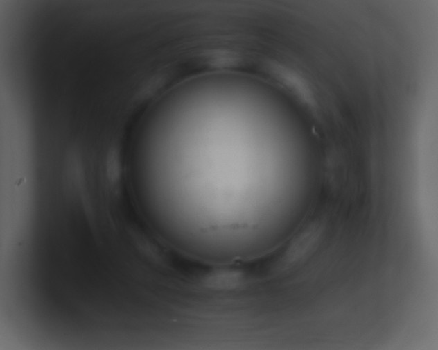 X0000101390257200807071203