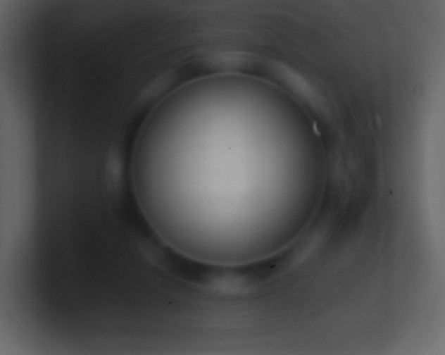 X0000101390258200807071203