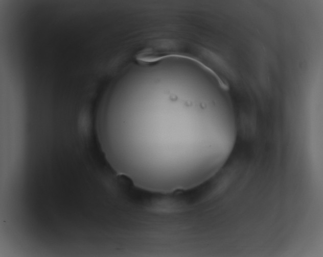 X0000101390259200807071203