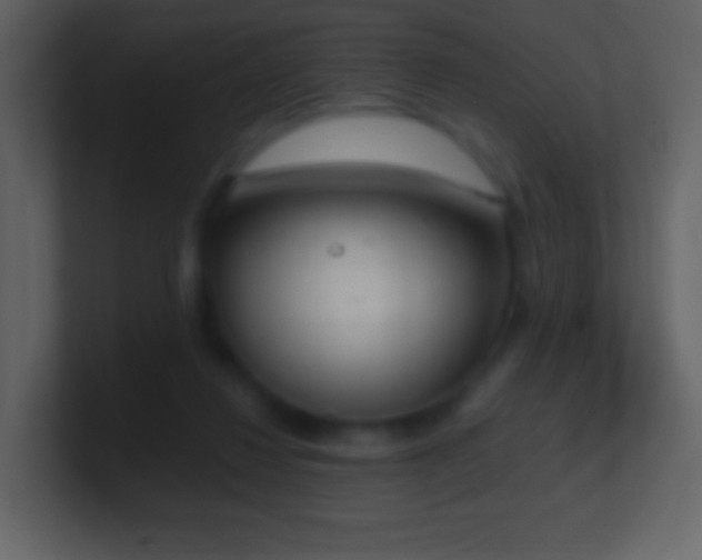 X0000101390260200807071203