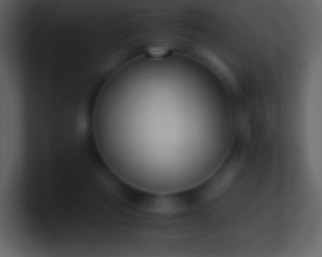 X0000101390261200807071204