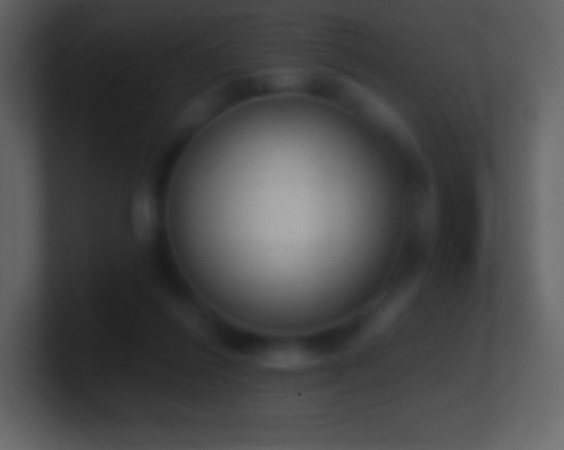 X0000101390262200807071204