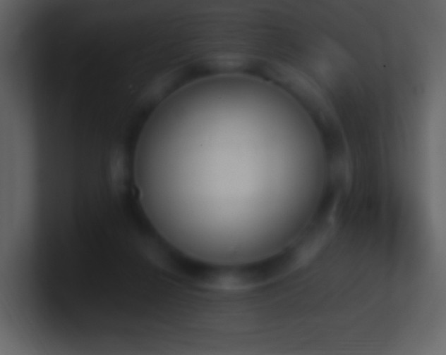 X0000101390264200807071204