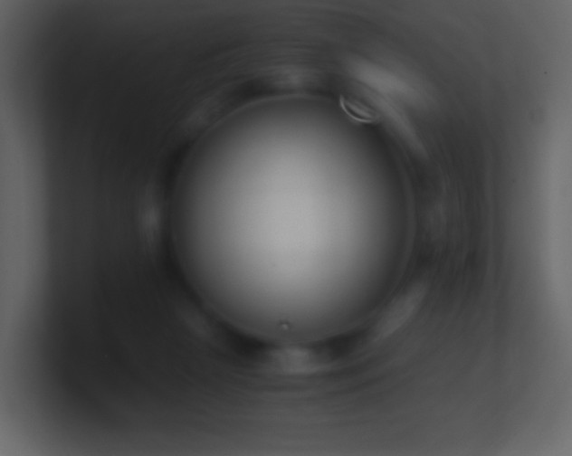 X0000101390265200807071204