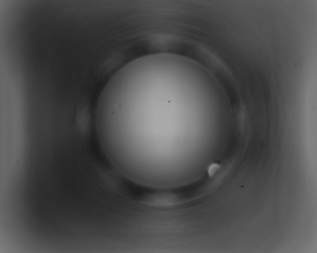 X0000101390266200807071204