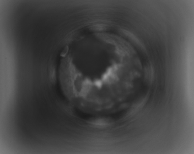 X0000101390267200807071204