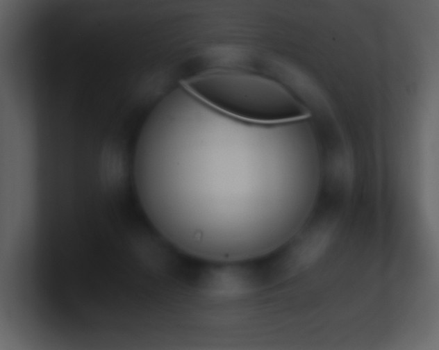 X0000101390268200807071204