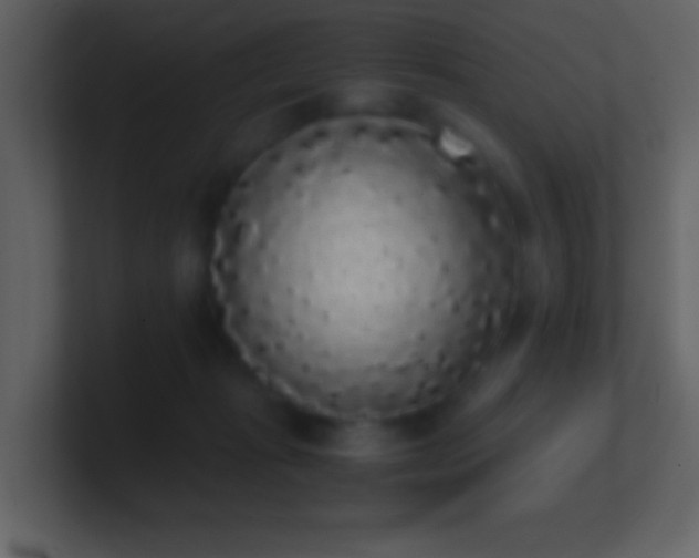 X0000101390269200807071204