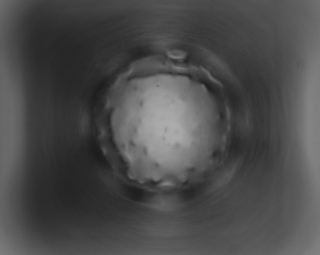 X0000101390270200807071204