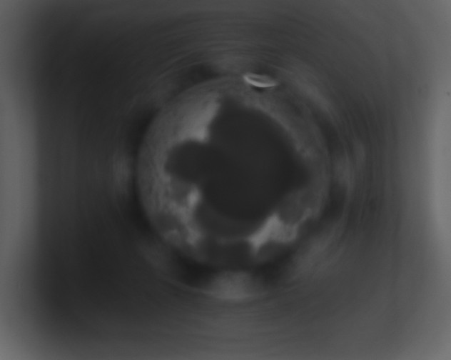 X0000101390271200807071204