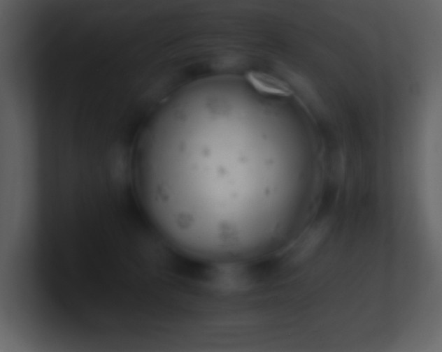 X0000101390273200807071204