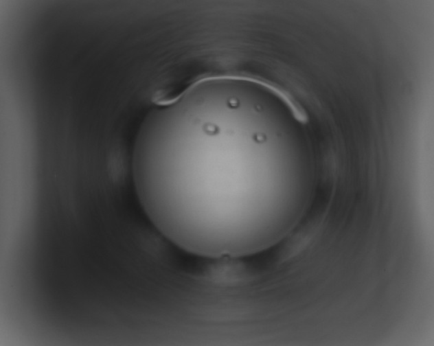 X0000101390274200807071204