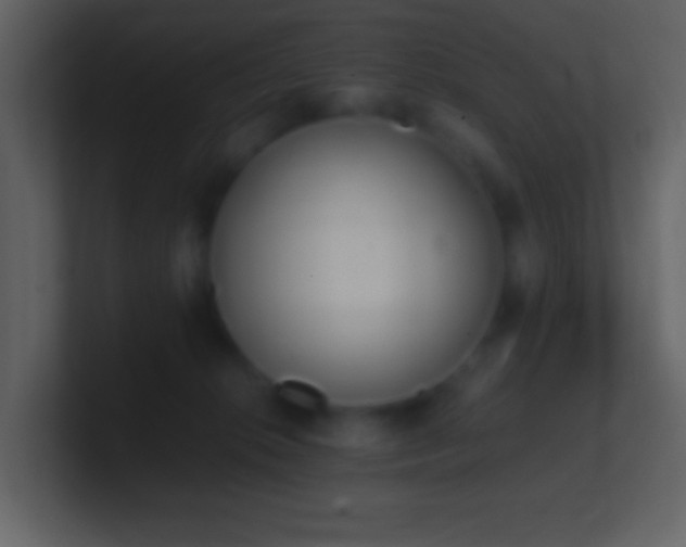 X0000101390276200807071204