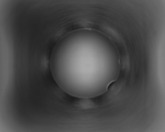 X0000101390279200807071204