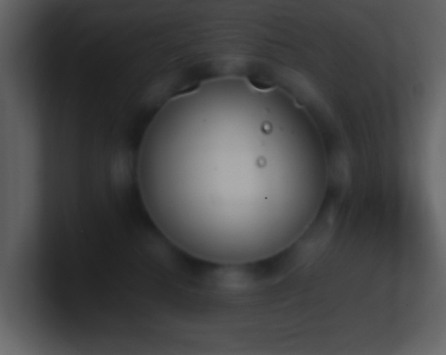 X0000101390280200807071204