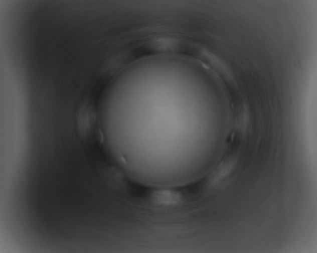 X0000101390281200807071204