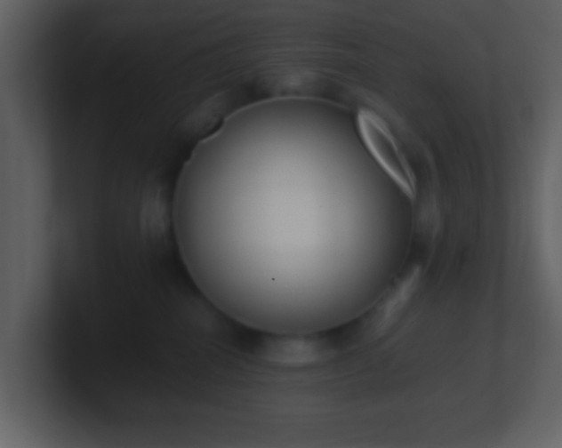 X0000101390282200807071204