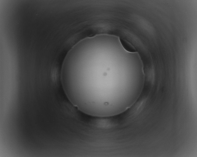 X0000101390283200807071204