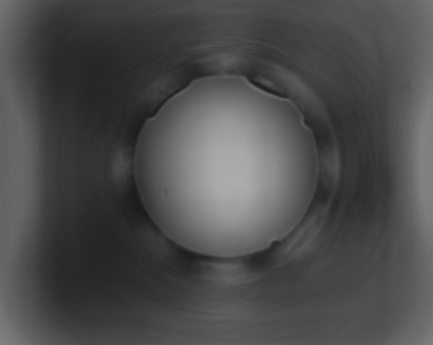 X0000101390284200807071204