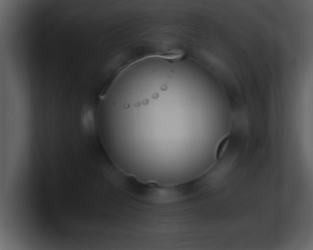 X0000101390286200807071204